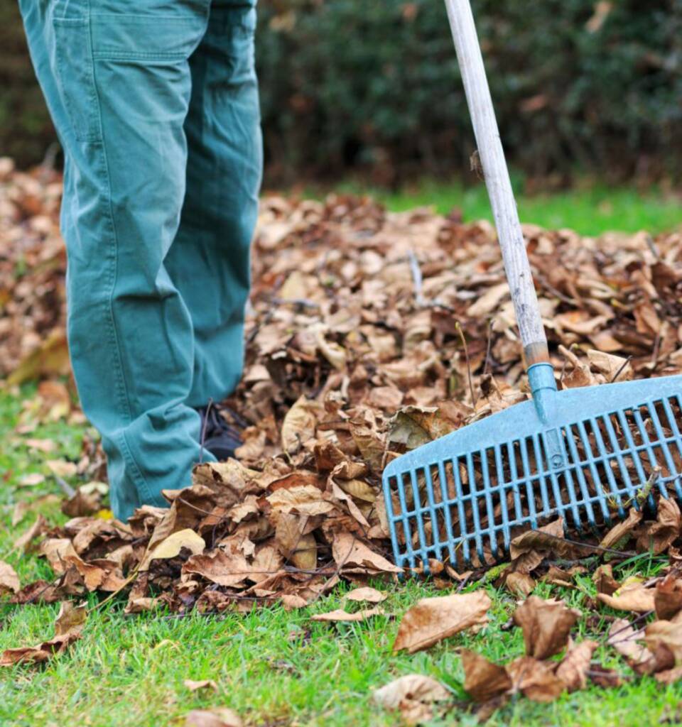 Das Bild zeigt eine Person in grüner Arbeitskleidung, die mit einem Laubrechen trockenes Herbstlaub auf einer Rasenfläche zusammenkehrt. Im Hintergrund steht eine Schubkarre, die zum Abtransport des gesammelten Laubs genutzt werden kann.